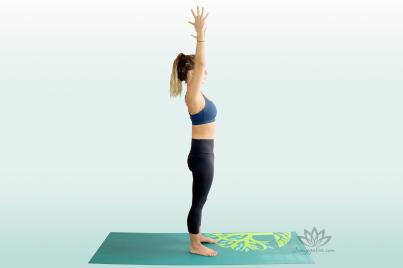 1 upward salute        basic beginners yoga poses 