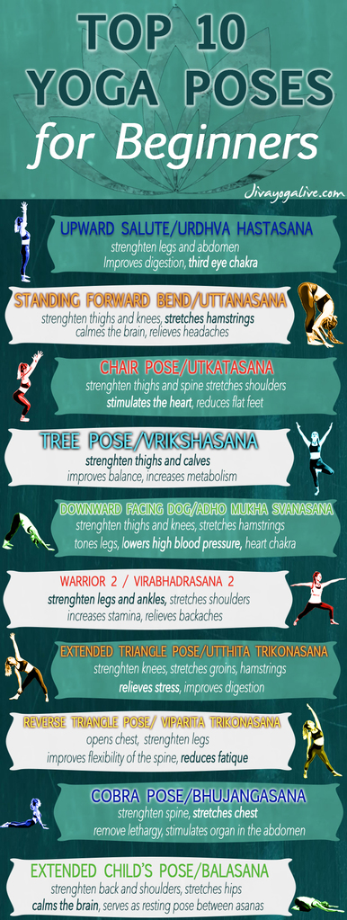 Top 10 yoga poses for beginners     basic beginners yoga poses 
