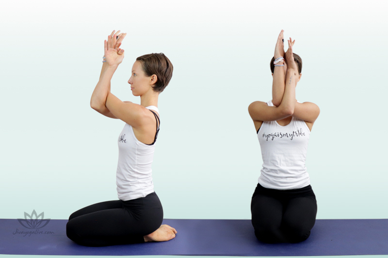 Eagle Arms - Garudasana