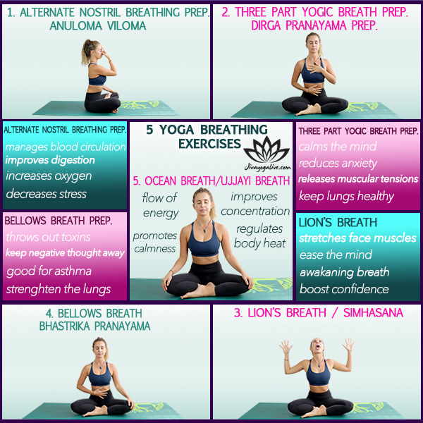 Discover The Power Of Yoga Breathing Techniques Names For Enhanced Well Discover The Power Of Yoga Breathing Techniques Names For Enhanced Well
