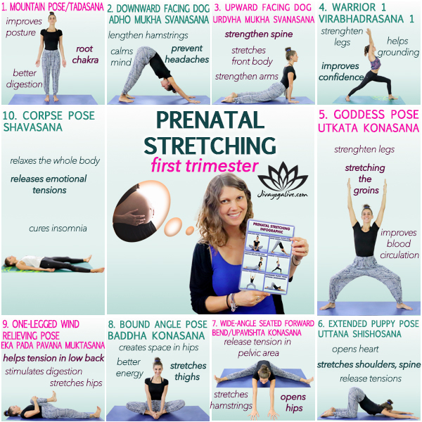 prenatal stretches firs trimester infographic_cg-1