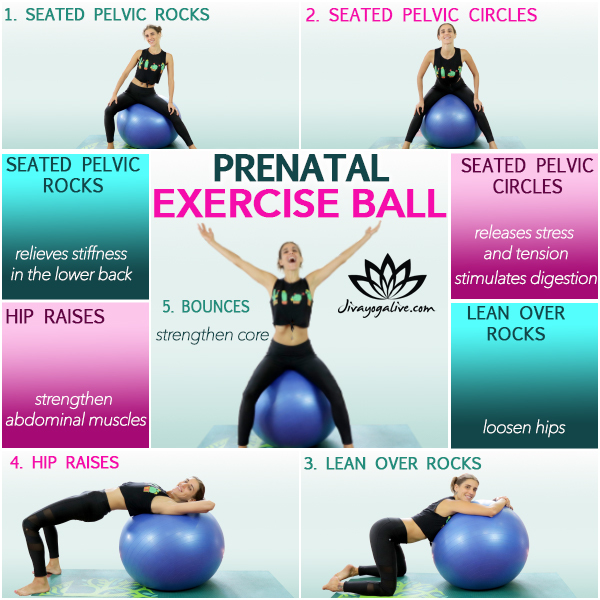 Yoga Ball Pregnancy Exercises infographic
